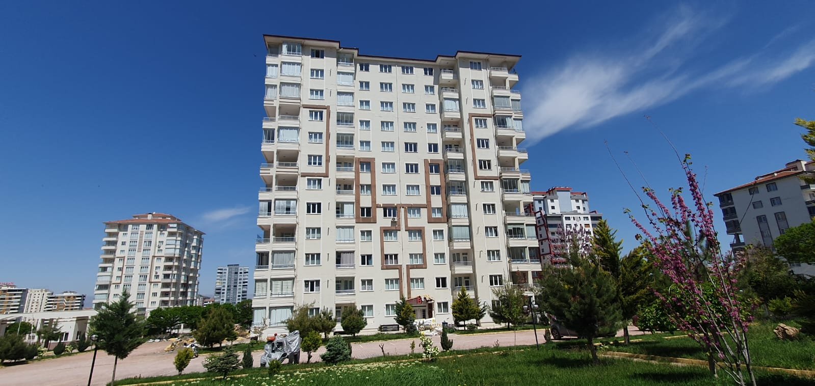 koza